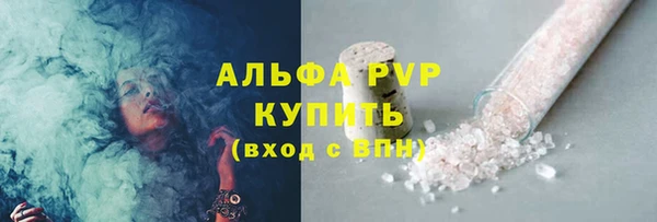 гашик Сатка