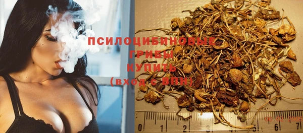 гашик Сатка