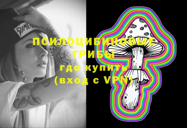 ешки Саяногорск