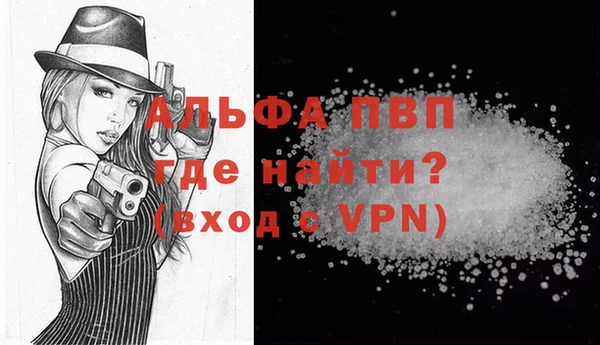 стаф Дубна