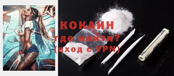 гашик Сатка
